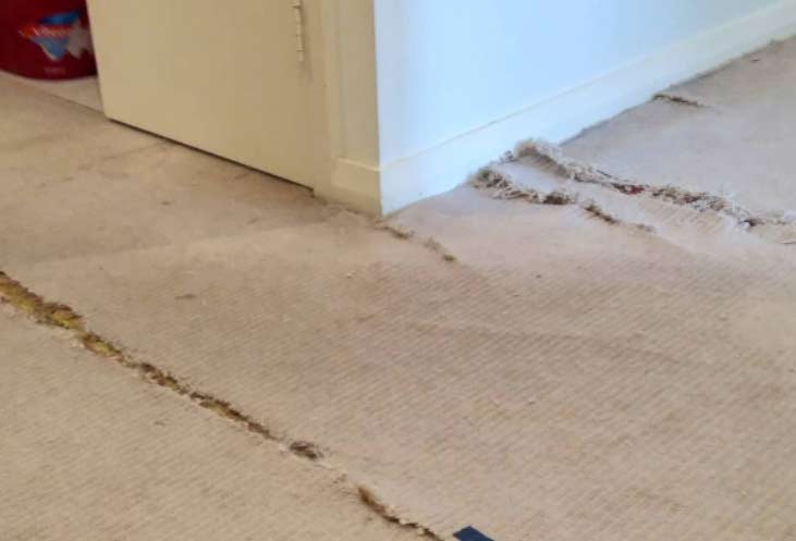 Carpet Repair Brisbane