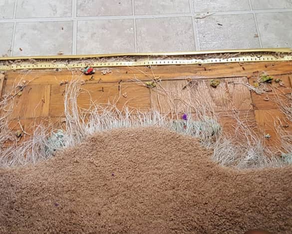 best carpet repair perth