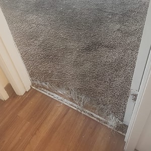 Carpet Base Replacement Canberra