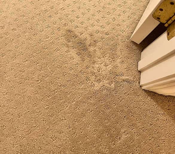 carpet repair and replacement hobart