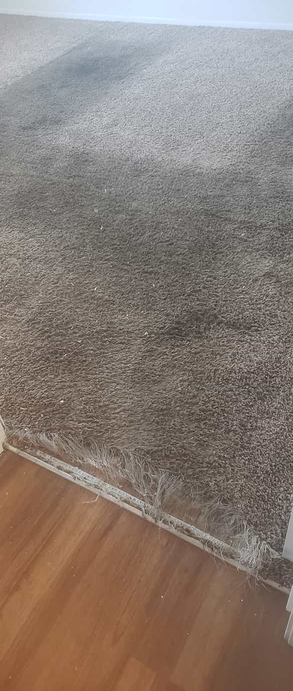 carpet repair and restoration services in hobart