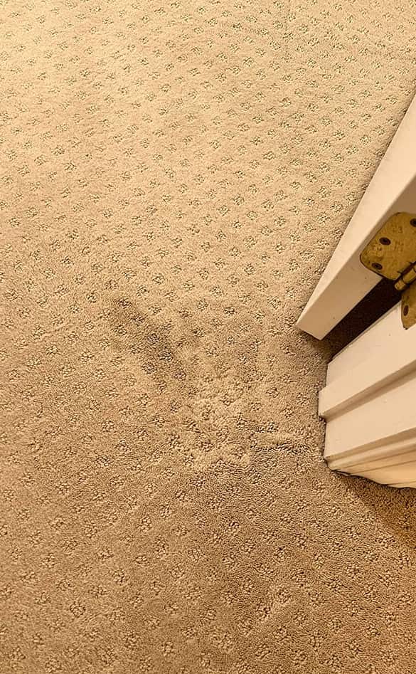 carpet repair and restoration services Brisbane