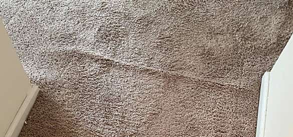 carpet repair in adelaide