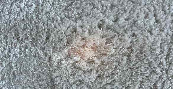 carpet repair sydney