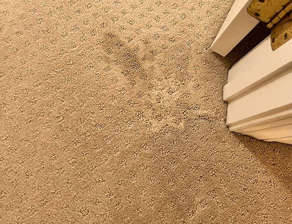 emergency carpet repair Melbourne
