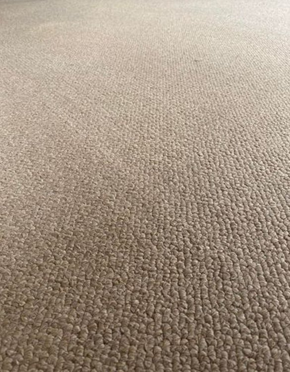 professional carpet repairs and replacements Canberra