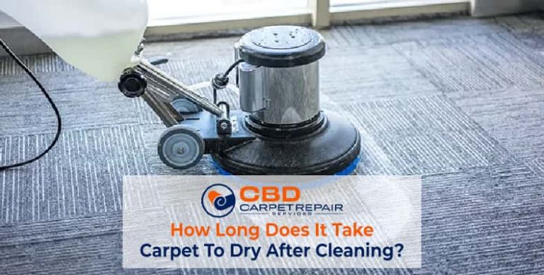 Carpet Dry Cleaning Service