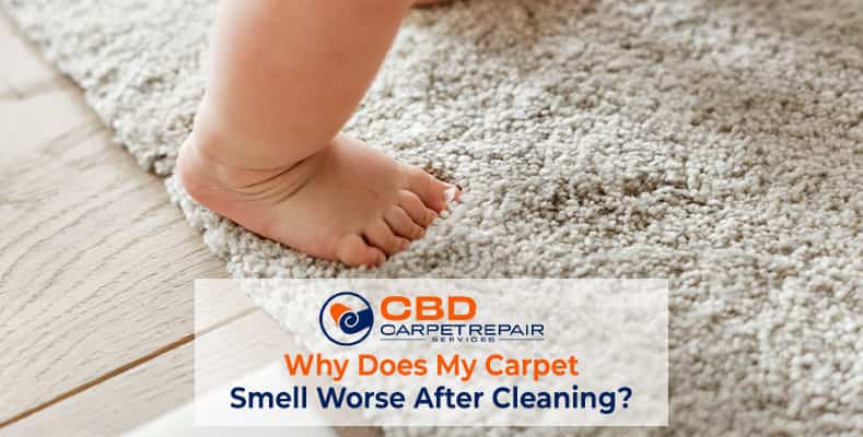  Carpet Smell Worse After Cleaning