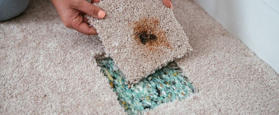 Carpet Burn Restoration