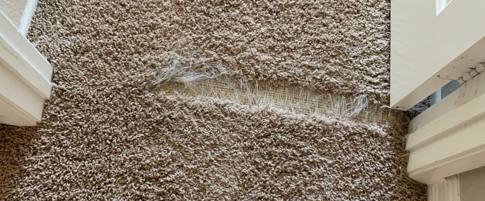 Pet Damage Carpet Repair