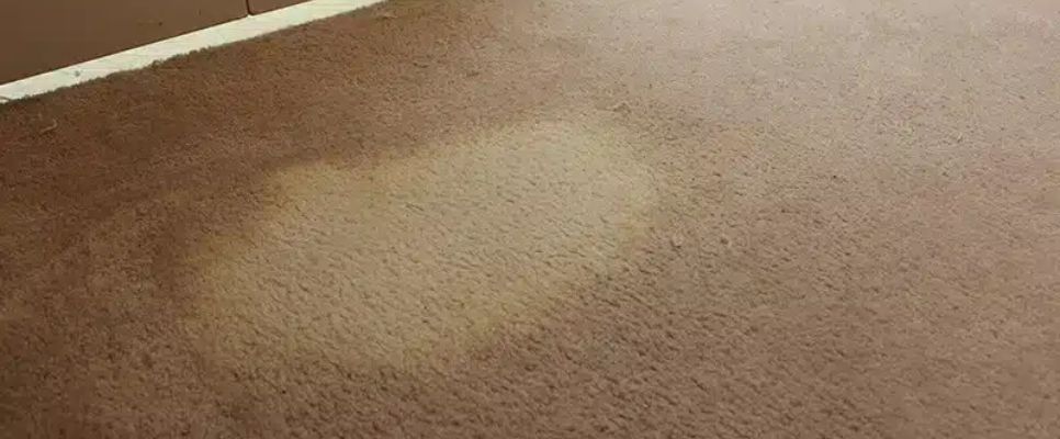 Why Choose Carpet Dyeing