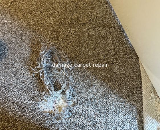 Carpet Repair